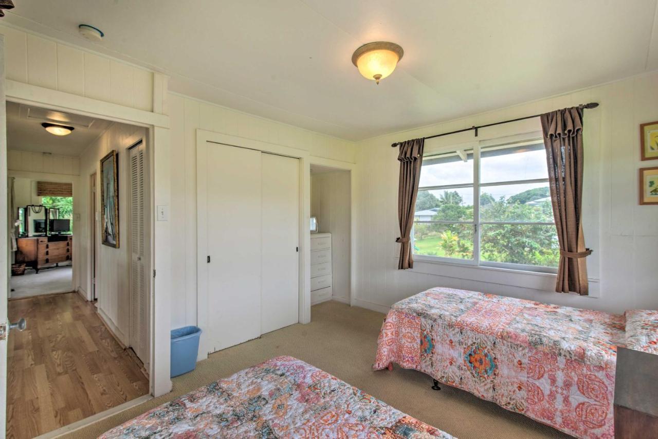 Hilo Home Base - 3 Miles To State Park And Beach! Dış mekan fotoğraf
